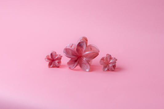 3 Hair clips ٣ كلبسات شعر