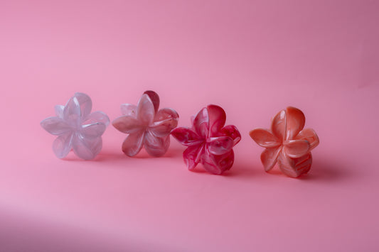 4 Hair Clips ٤ كلبسات شعر